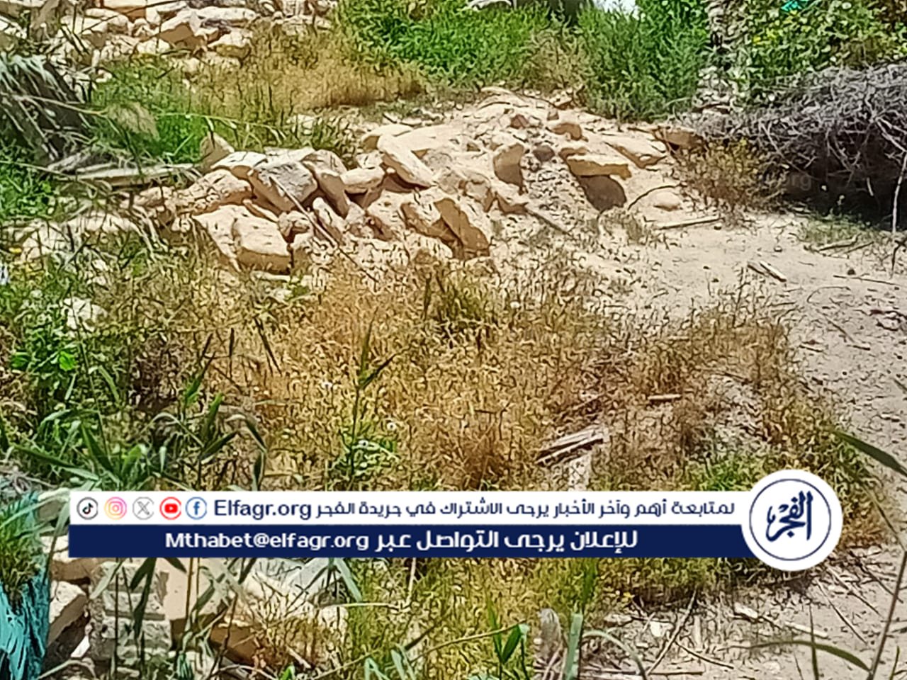 68e3cab5-572f-46f9-bfa7-edea7ee1c07d