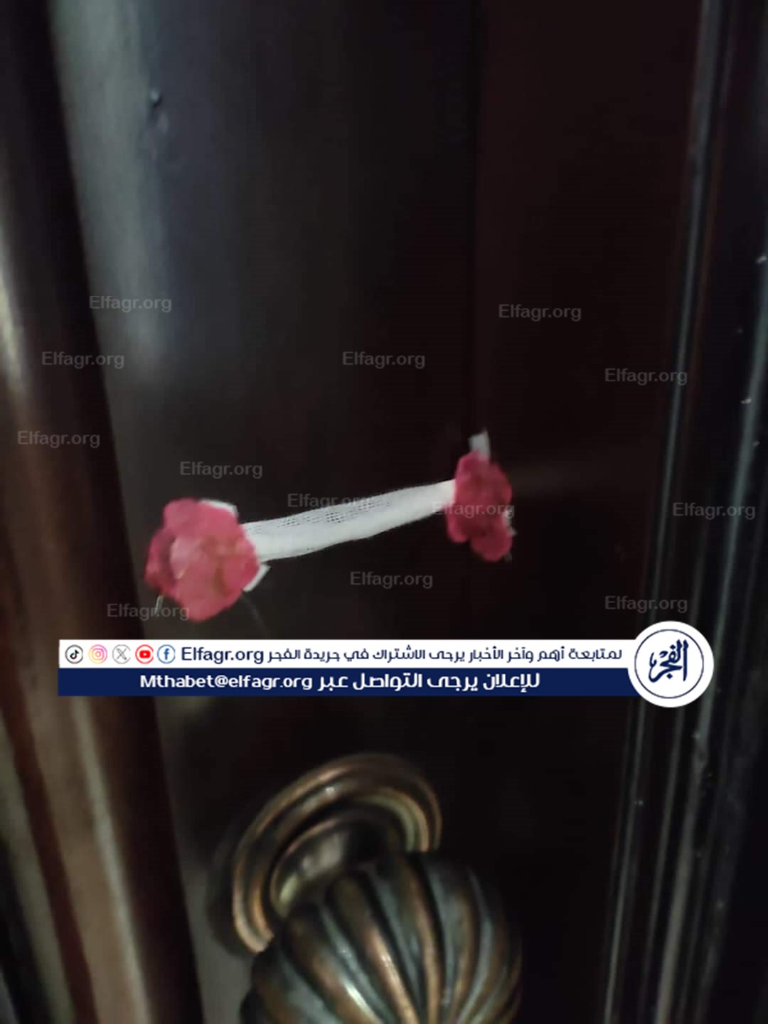 8e7c7bdb-0fe8-4a06-8dc0-28e2aa9beaa4