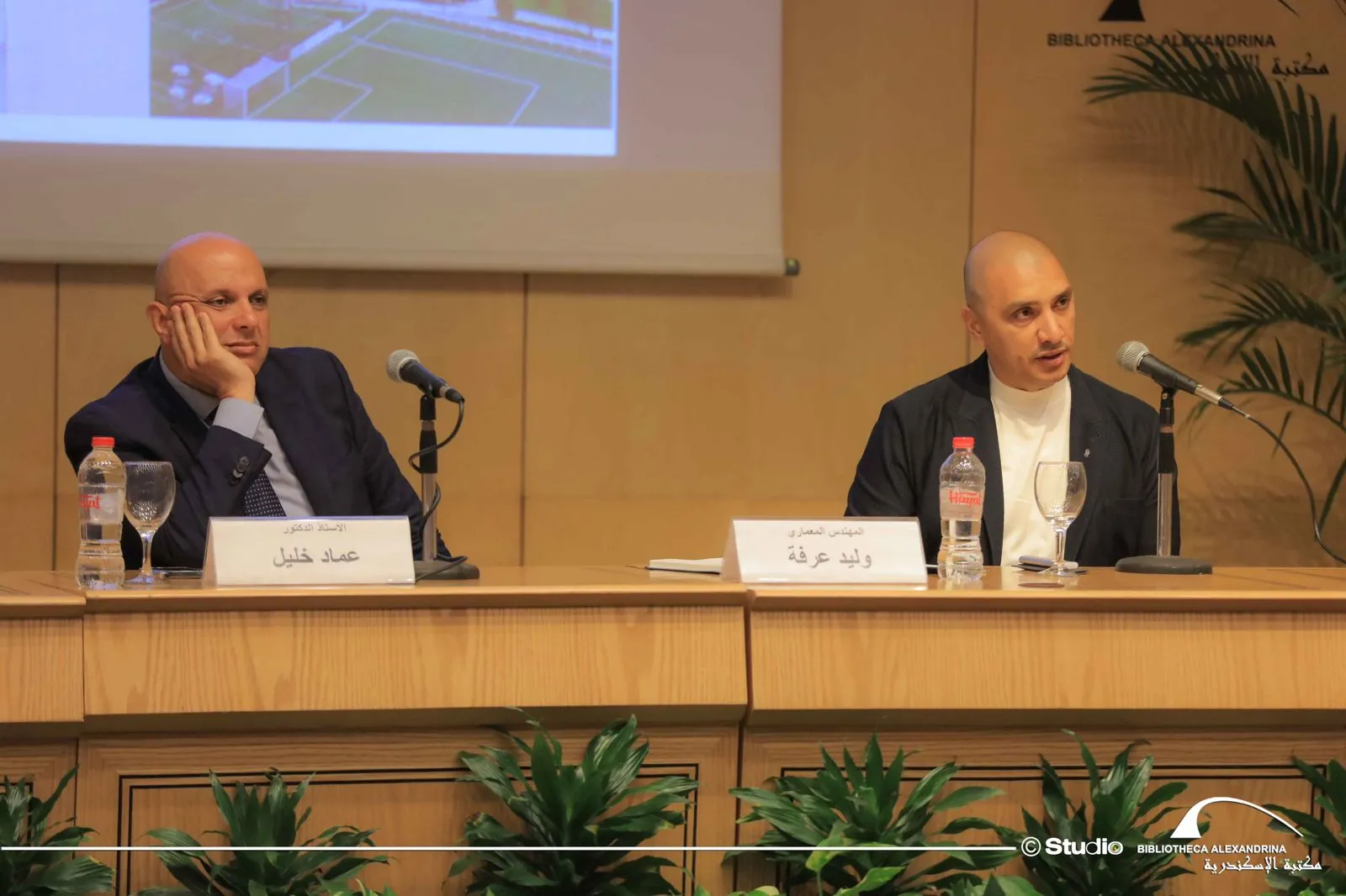 inbound7424861884599591694