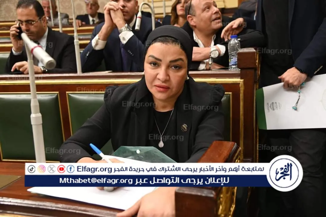 النائبة ألفت المزلاوي