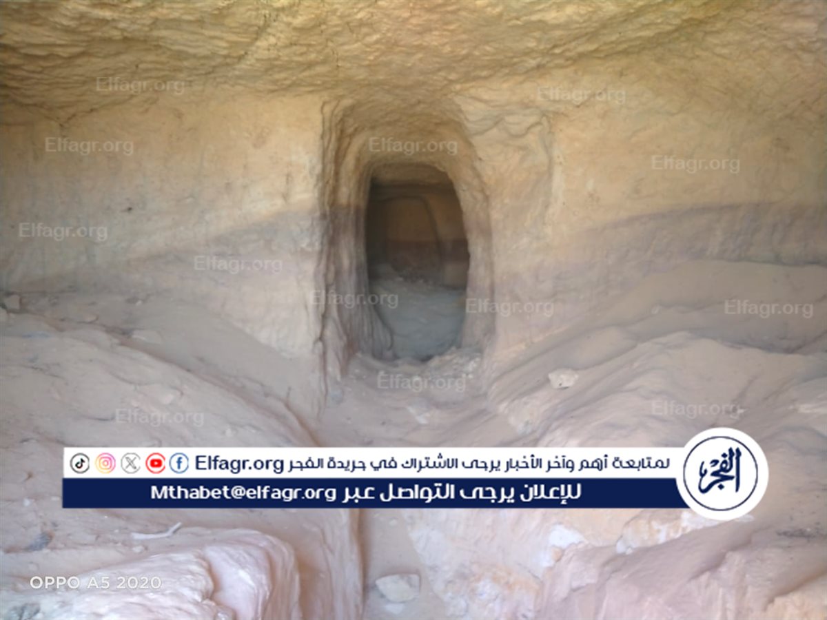 2e314c4b-e9c4-4c4b-819c-c6e968fd006b