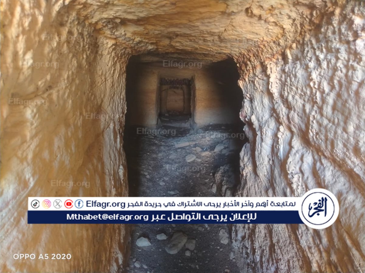 078ffe66-5001-4ea9-8139-2980cbbb5eea