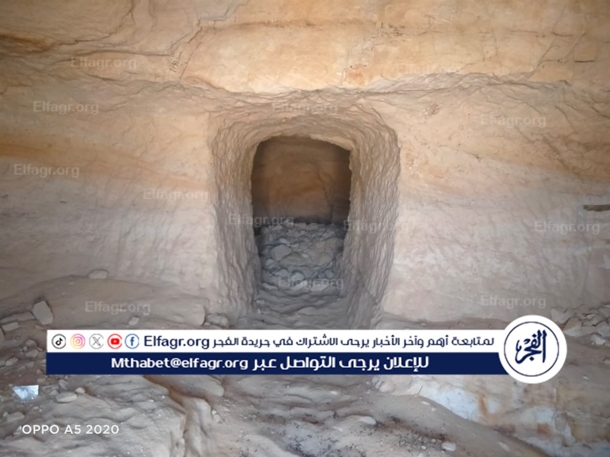 234de170-3c81-4687-9f30-fe5f849846cf