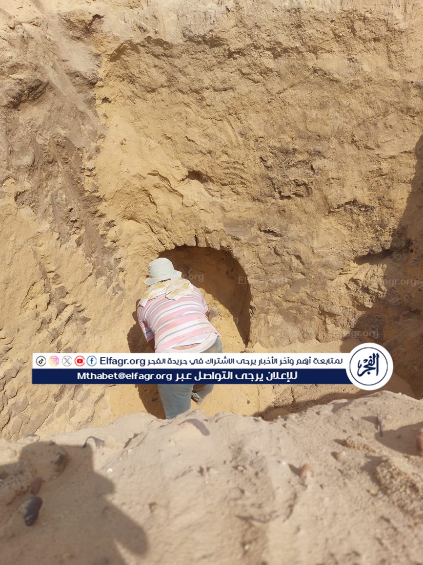 90e0e333-cb77-490f-a662-bd7610bd69d7