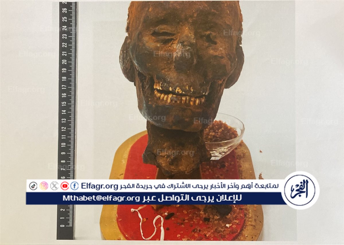 e02cd6e3-f323-40a3-a626-d45e31c3d2e5