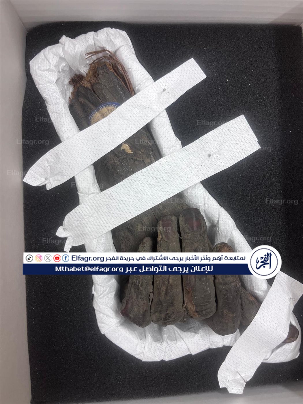 d21962ad-2431-402b-969d-63fe11843aec