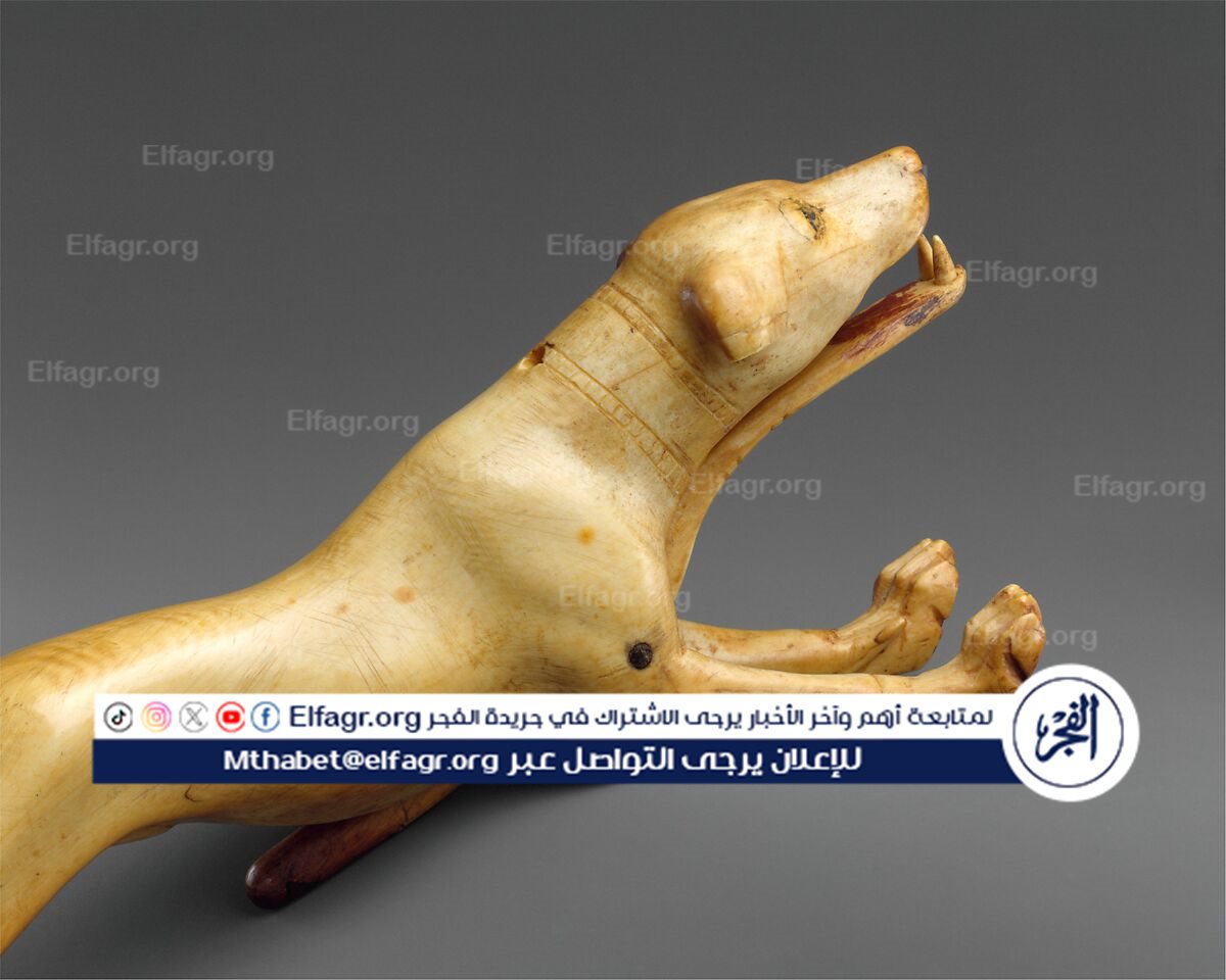 337ef1c3-59bb-4999-a5e9-1f3cd5da2714