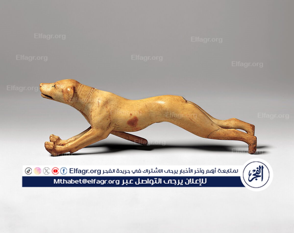 f74fa8f2-cee2-421e-9ac9-db7220e111bb