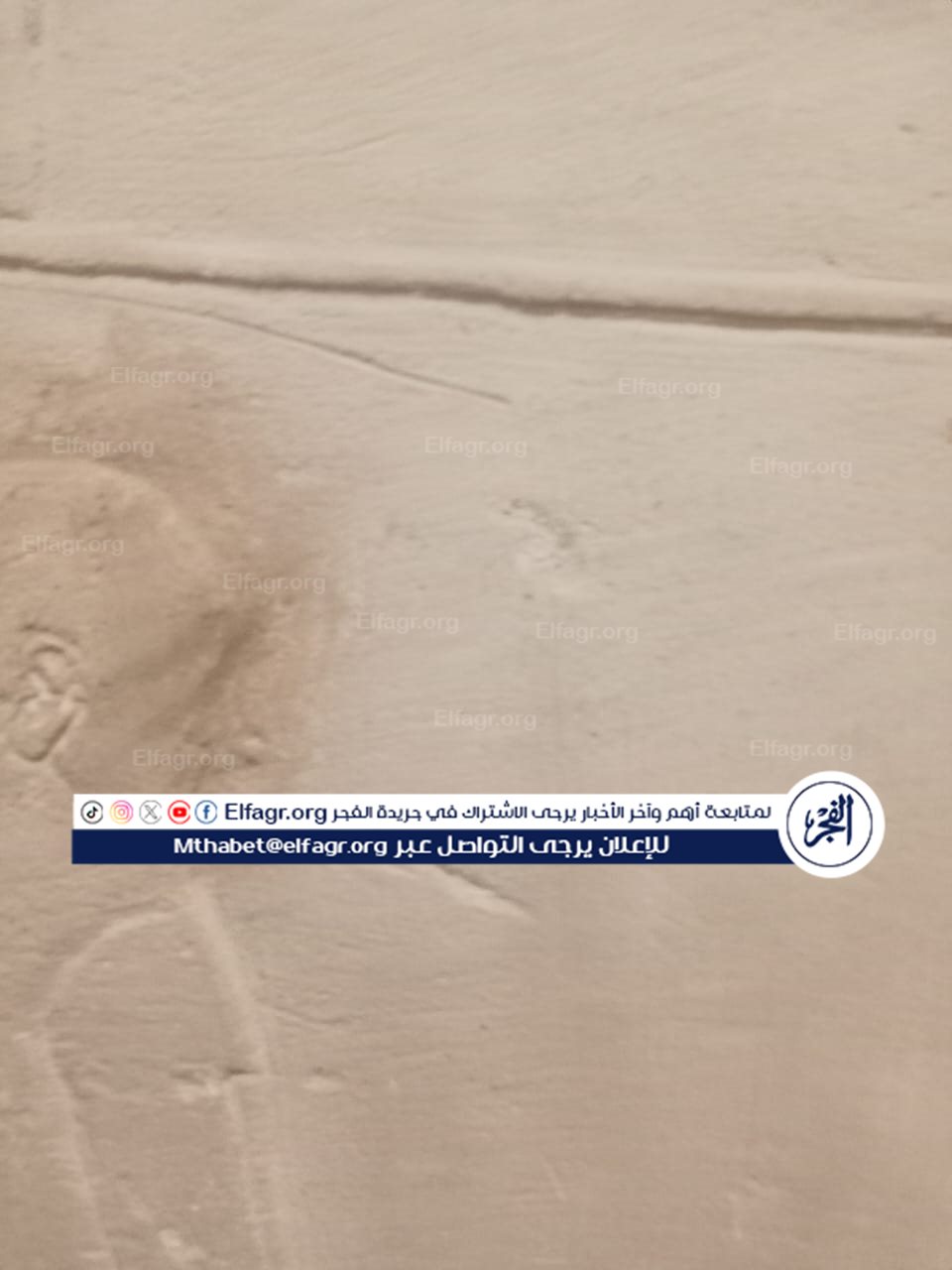 3fe9a207-6ff8-4746-a439-084139c588e5