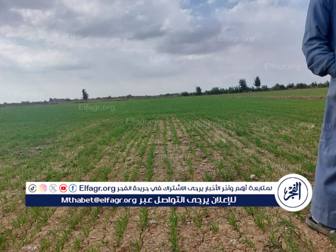 FB_IMG_1734535140701