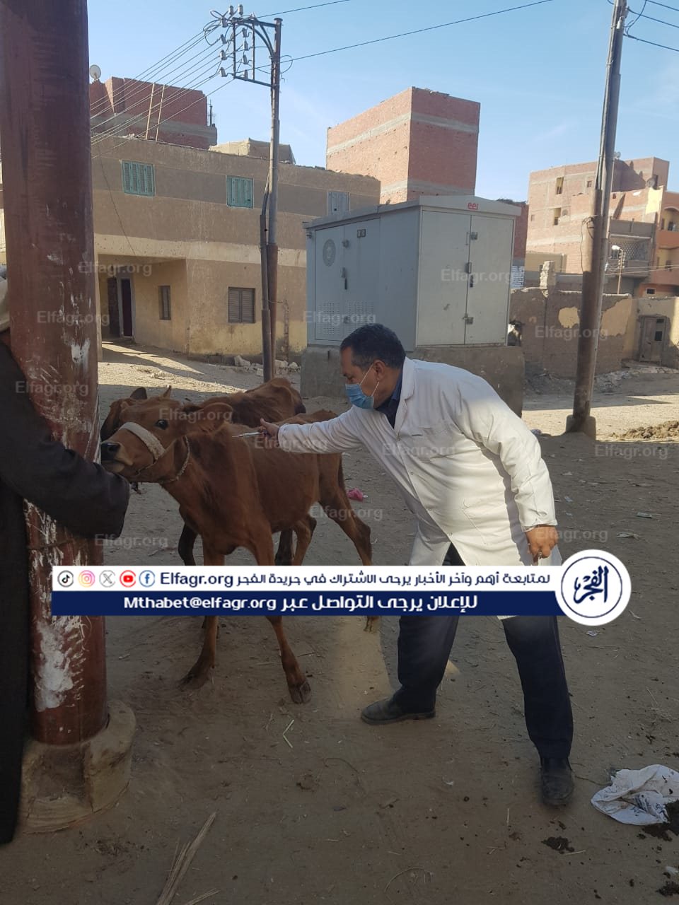 05a8d7d4-22ae-456f-9a33-08de7faeb66d