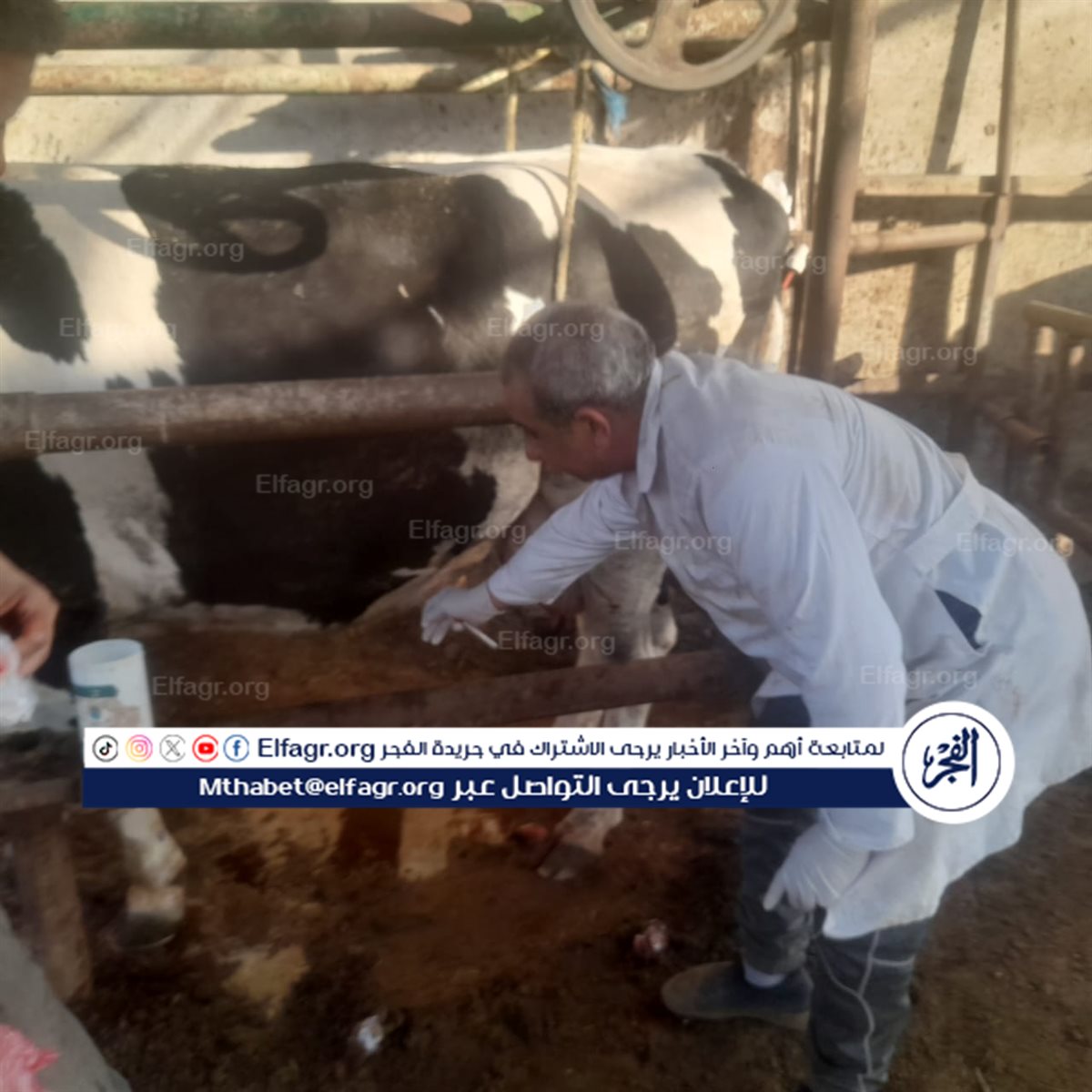 65c00647-75f7-4c0f-b46c-be566144441b