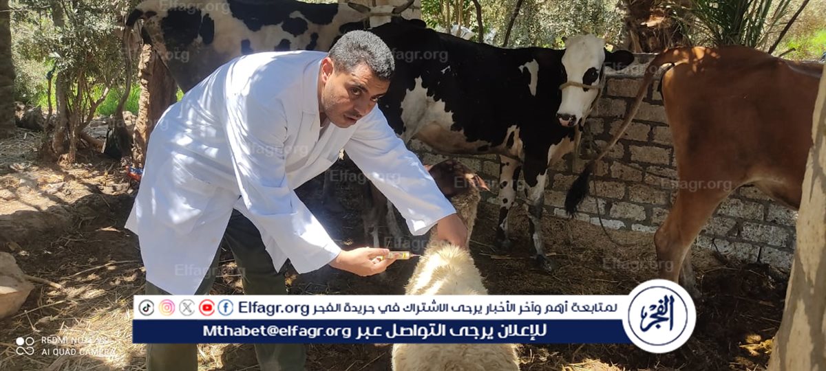 ae021bd7-646f-4db7-9b3c-297bd1a7dbba