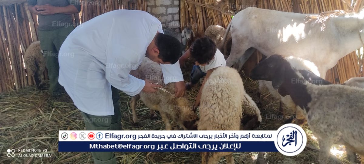 b71cd0c8-7882-46cb-9271-d9af67764a11