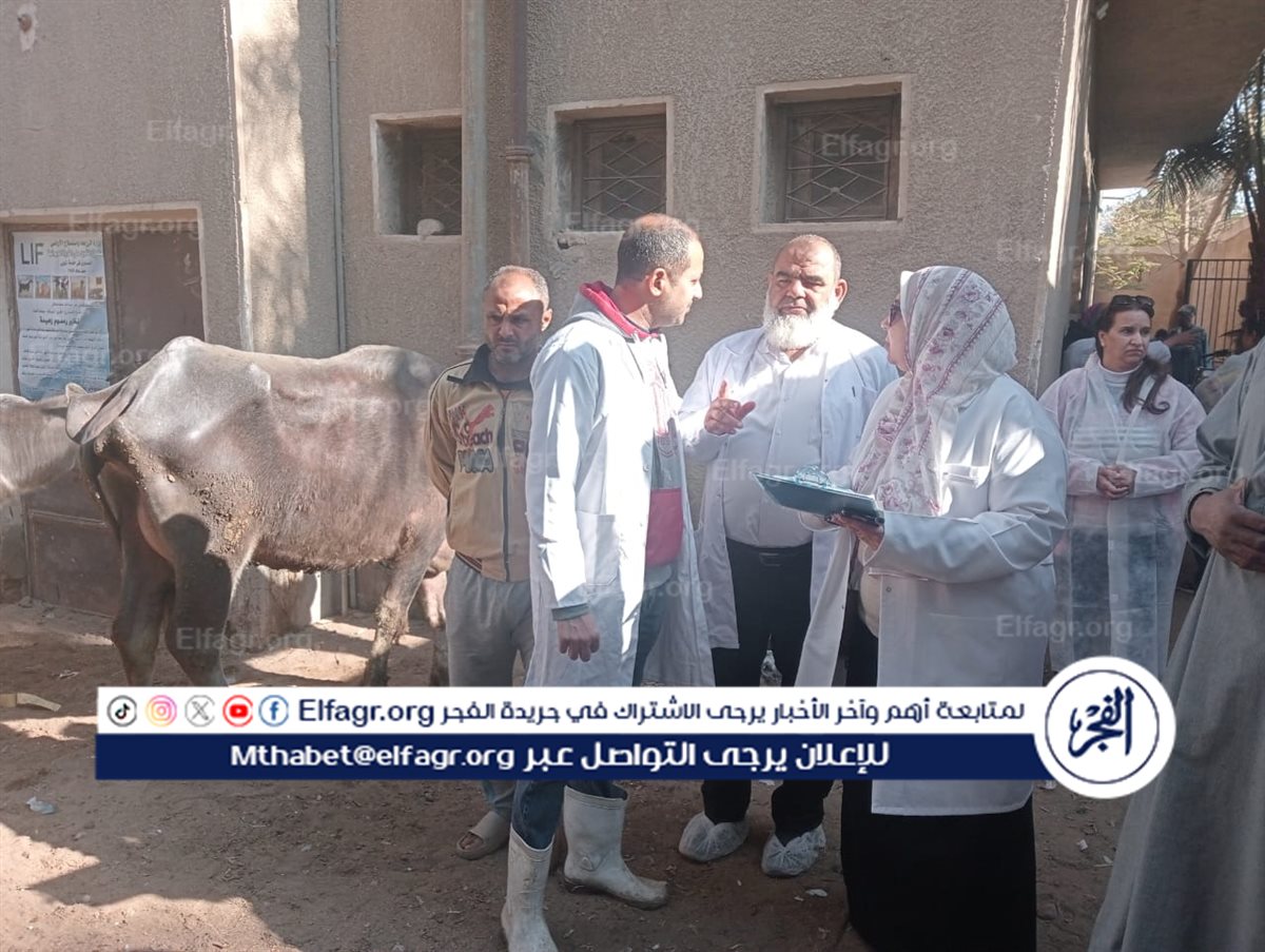 2e69928a-a4e8-4597-8439-2388d9999b7d