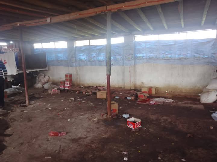 FB_IMG_1737913621705