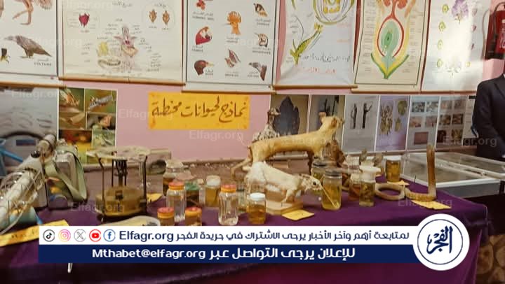 294e26ed-c98c-47da-8075-2bd319b87bd5 - Copy