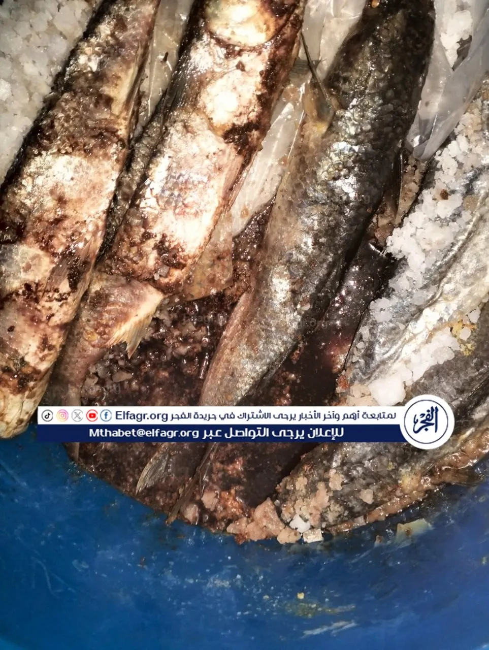 a6924520-e921-42a8-8652-9fe2a3547f29