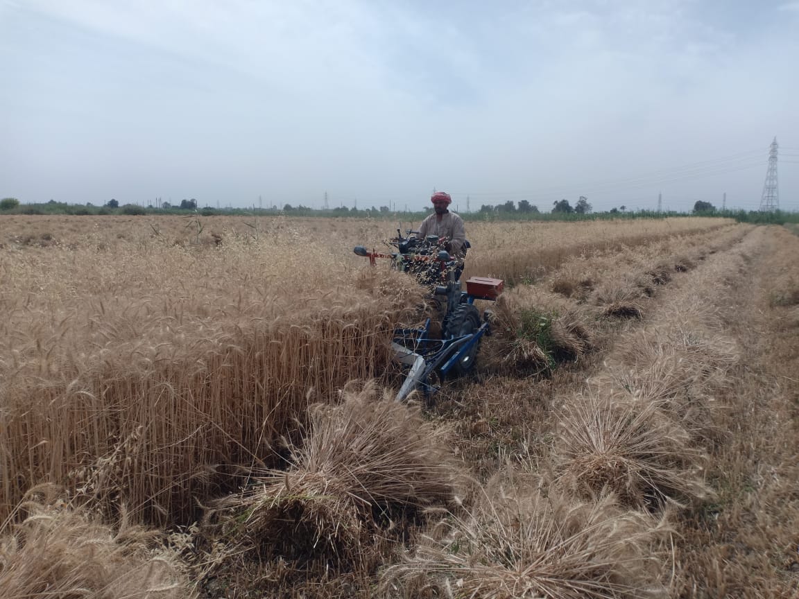 23fe1c0a-71a5-4e30-91fc-1aaec58e8b9c