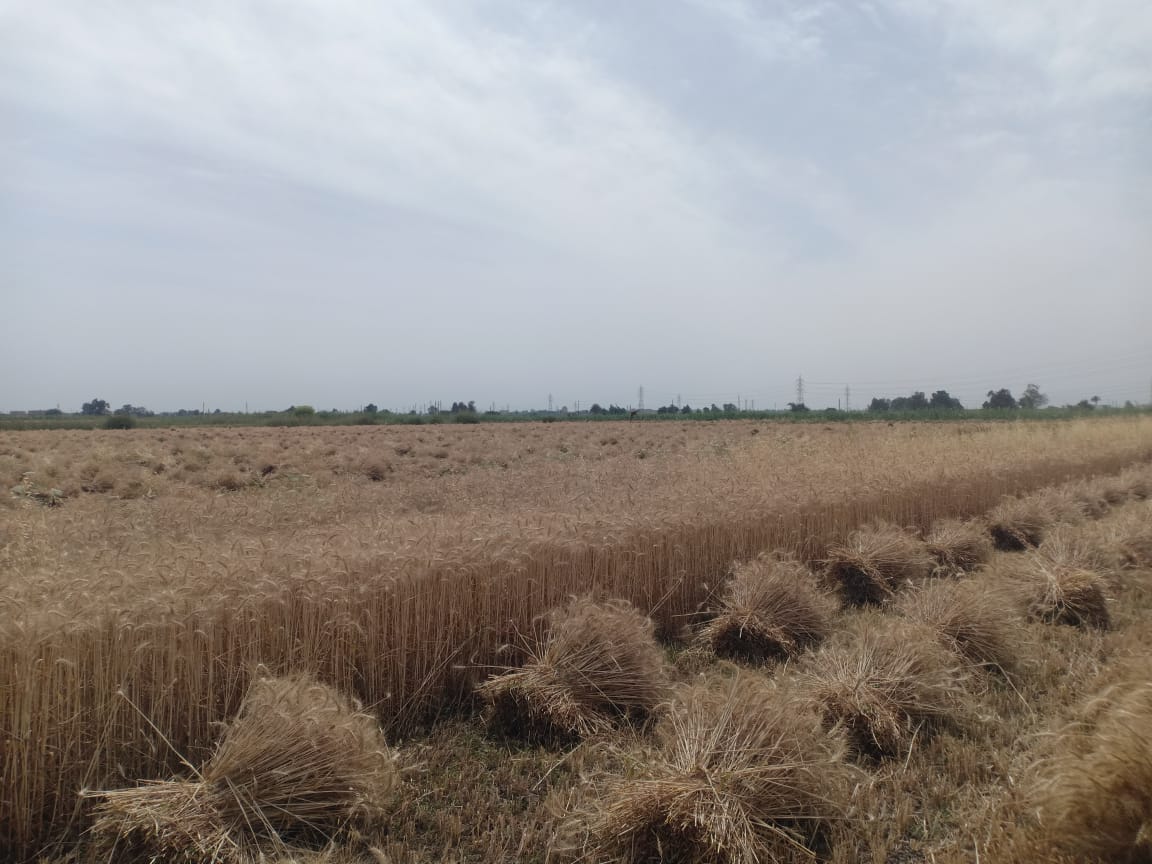 bb4cc212-a27d-4486-8be4-14de0758736d