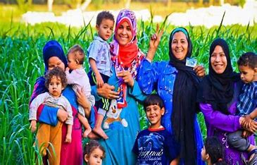 طريقة الاستعلام عن معاش تكافل وكرامة بالرقم القومي عبر موقع وزارة التضامن الاجتماعي