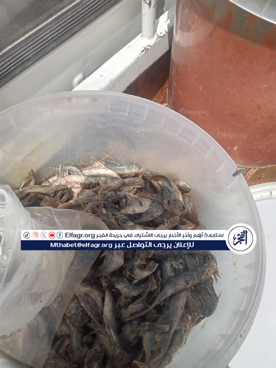 IMG-20250417-WA0018