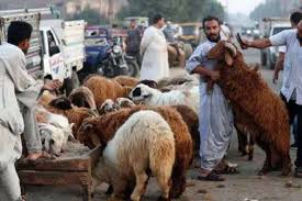 عيد الاضحى المبارك