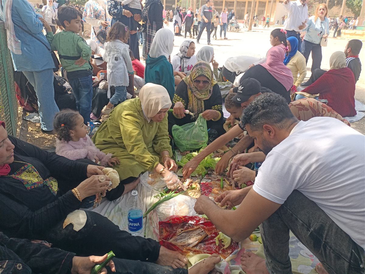 من داخل حديقة حيوان الإسكندرية