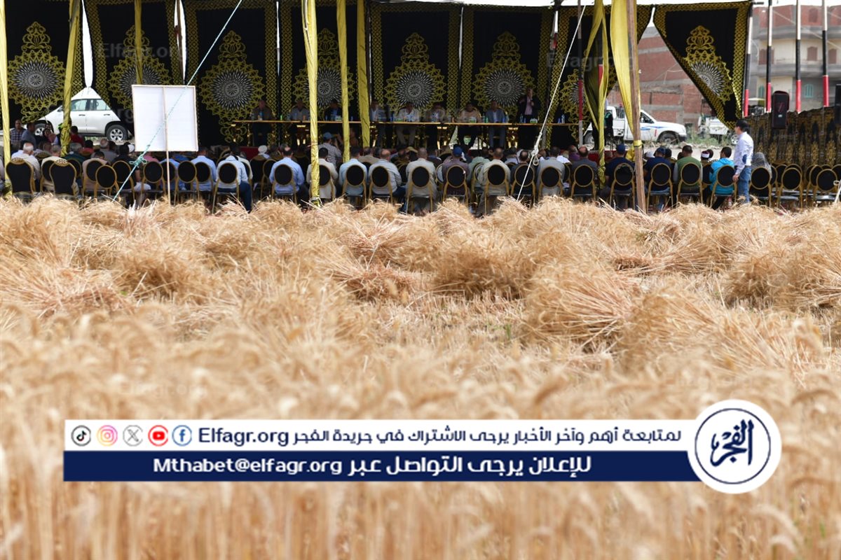 b85e4969-2a92-4569-9efe-63ede1837abd