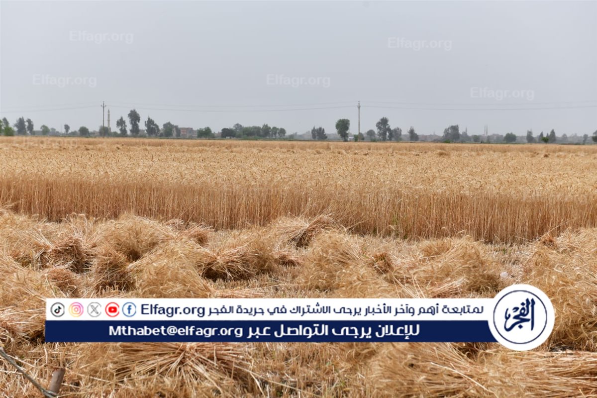 3c91b3ee-2c8d-4467-af69-77504c828b20