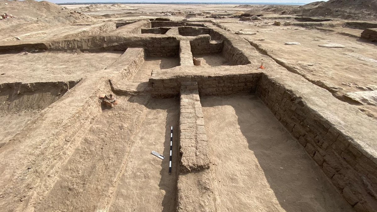 19240fbf-5fd0-4842-b3a3-93deae23f34b