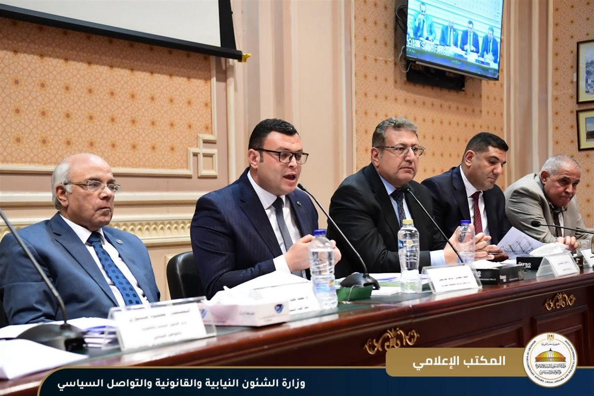 شهدت الجلسة الأولى لاجتماعات اللجنة البرلمانية المشتركة، حضور المستشار محمود فوزي وزير الشئون النيابية