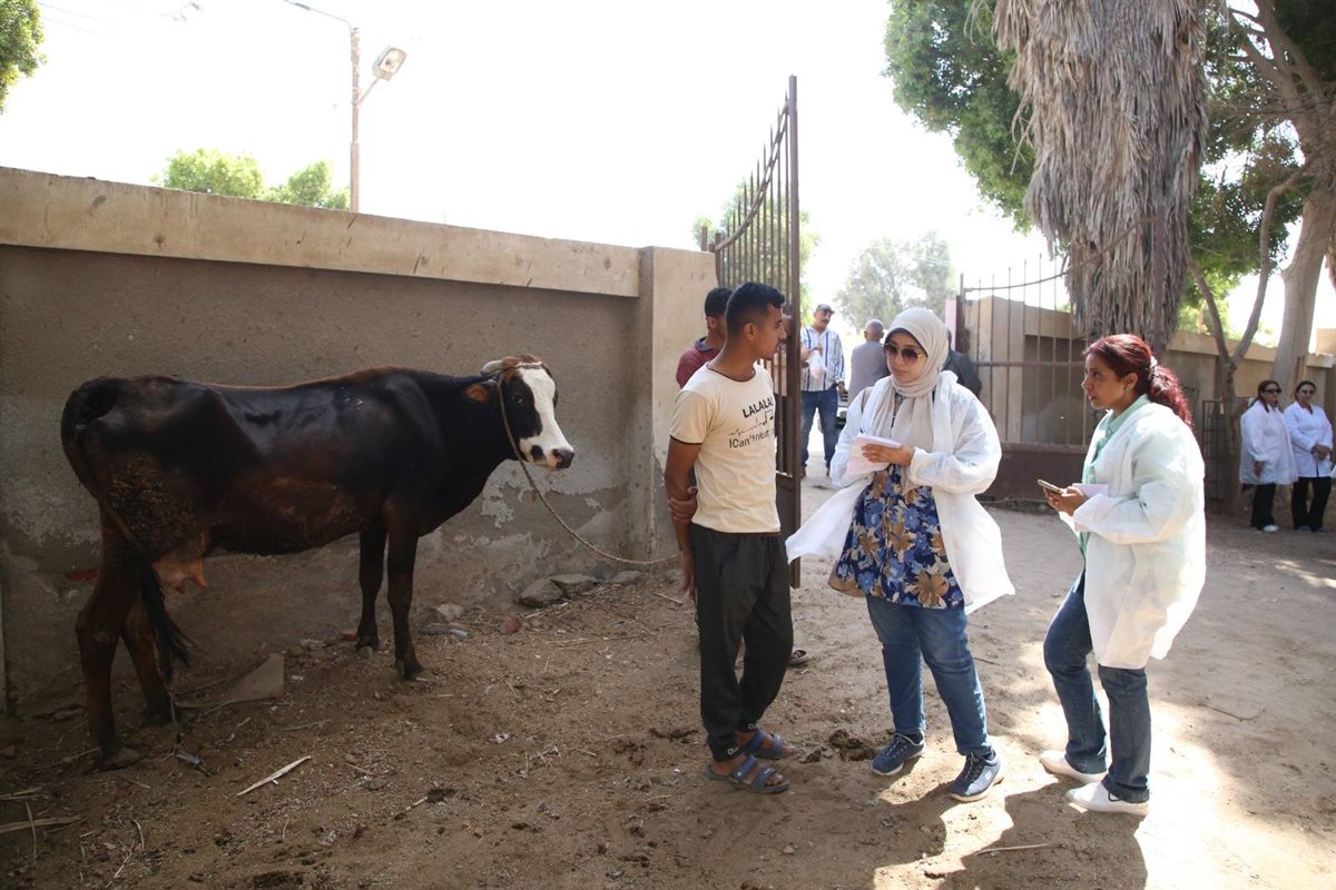 495372666_1099043298908165_2918359515269909153_n