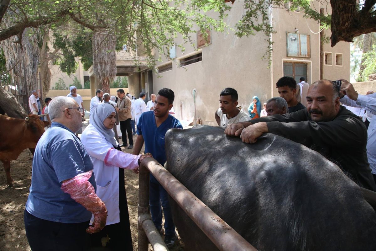 495615375_1099043262241502_5308902479162370733_n