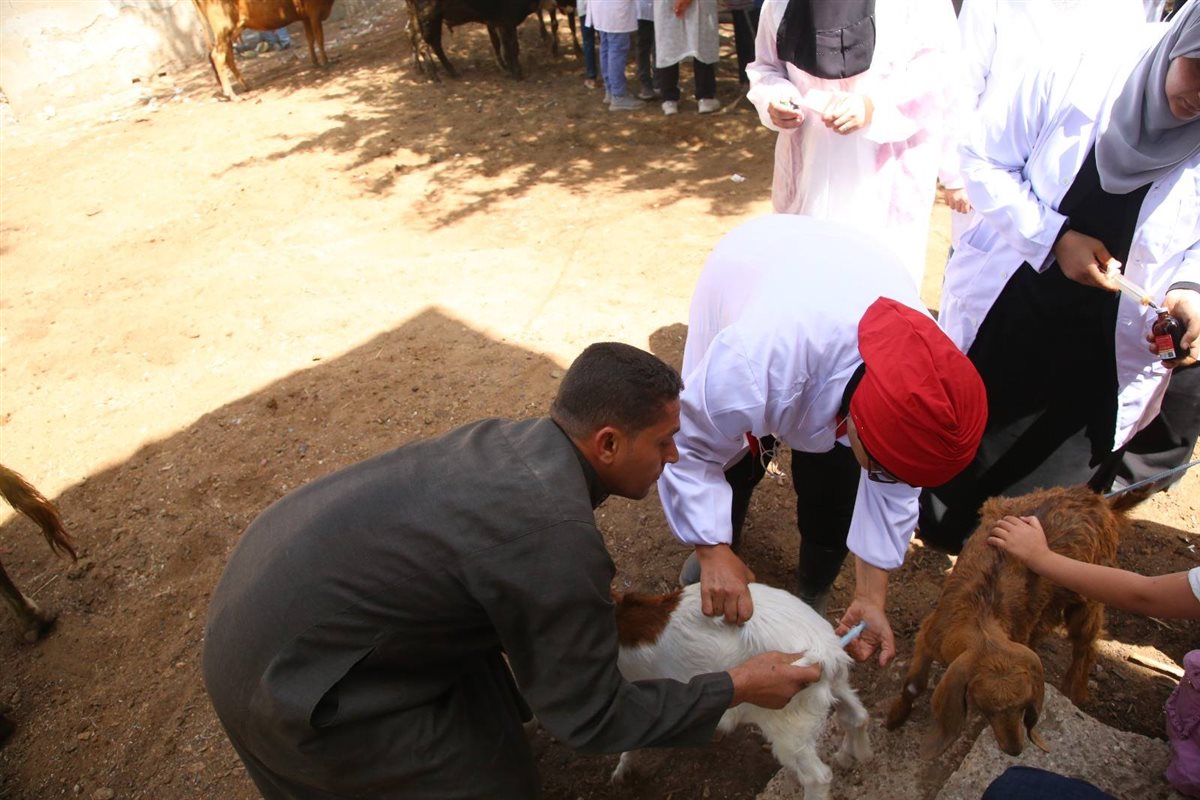 495688151_1099043338908161_8807411503783679534_n