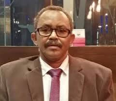 محمد الأمين أبو زيد&nbsp;