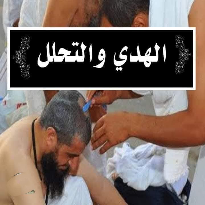 الهدي والتحلل