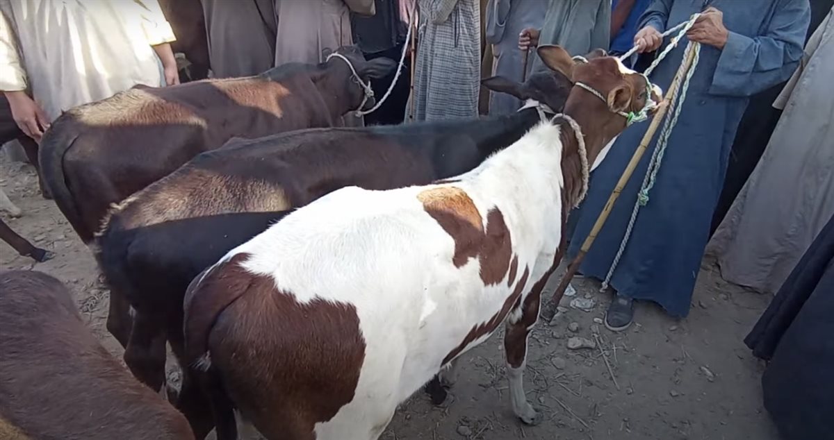 من السوق