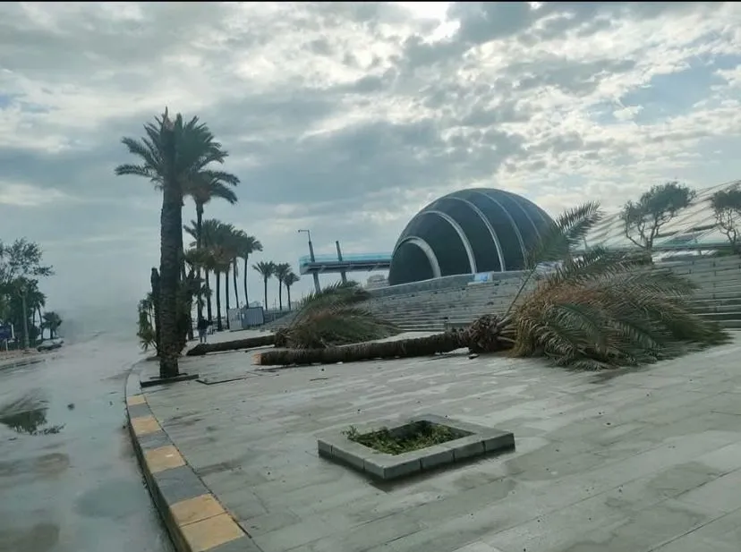 inbound2678582742470650178