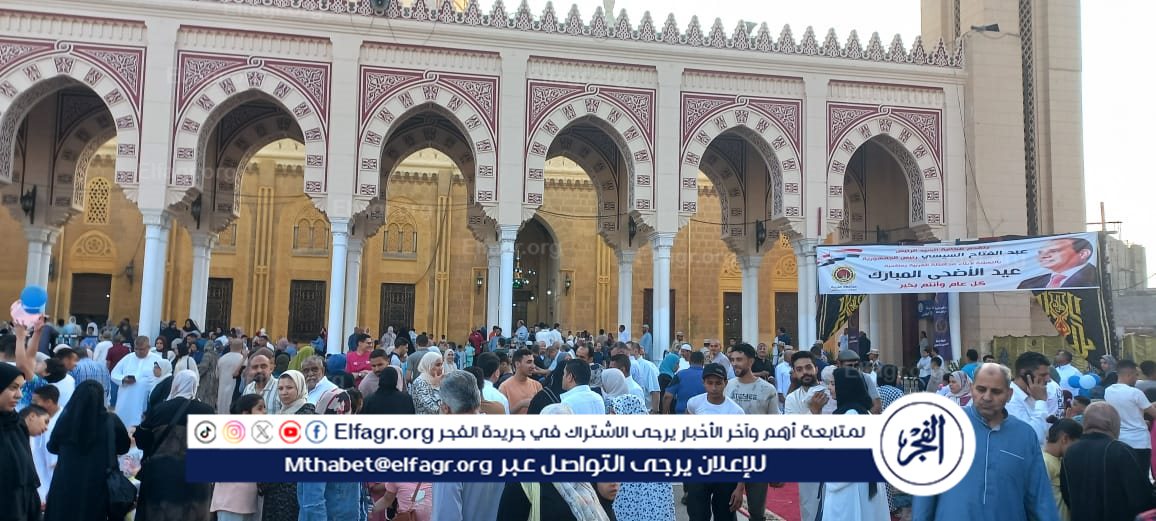 f3575019-98fd-45ed-84b7-9d49d8e33498