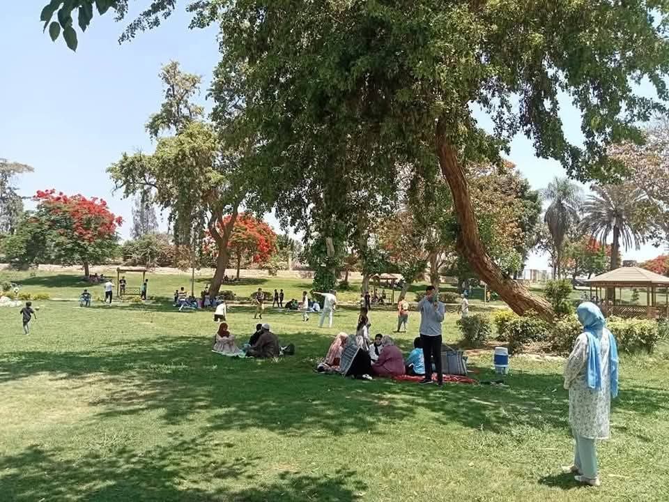 FB_IMG_1749297839182