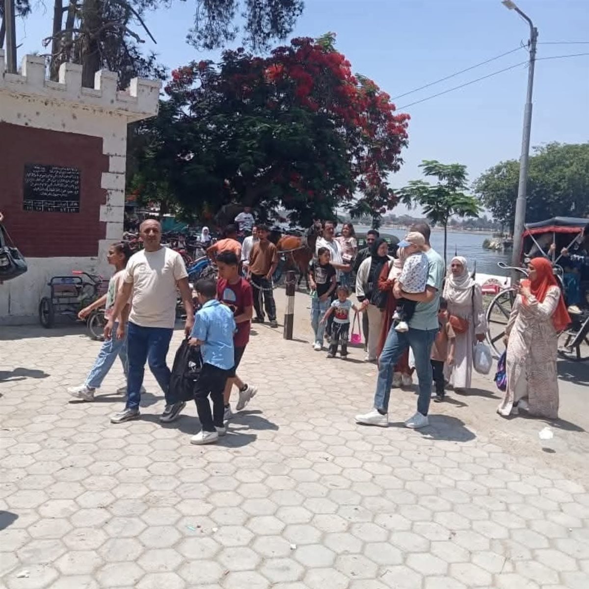 FB_IMG_1749474964796