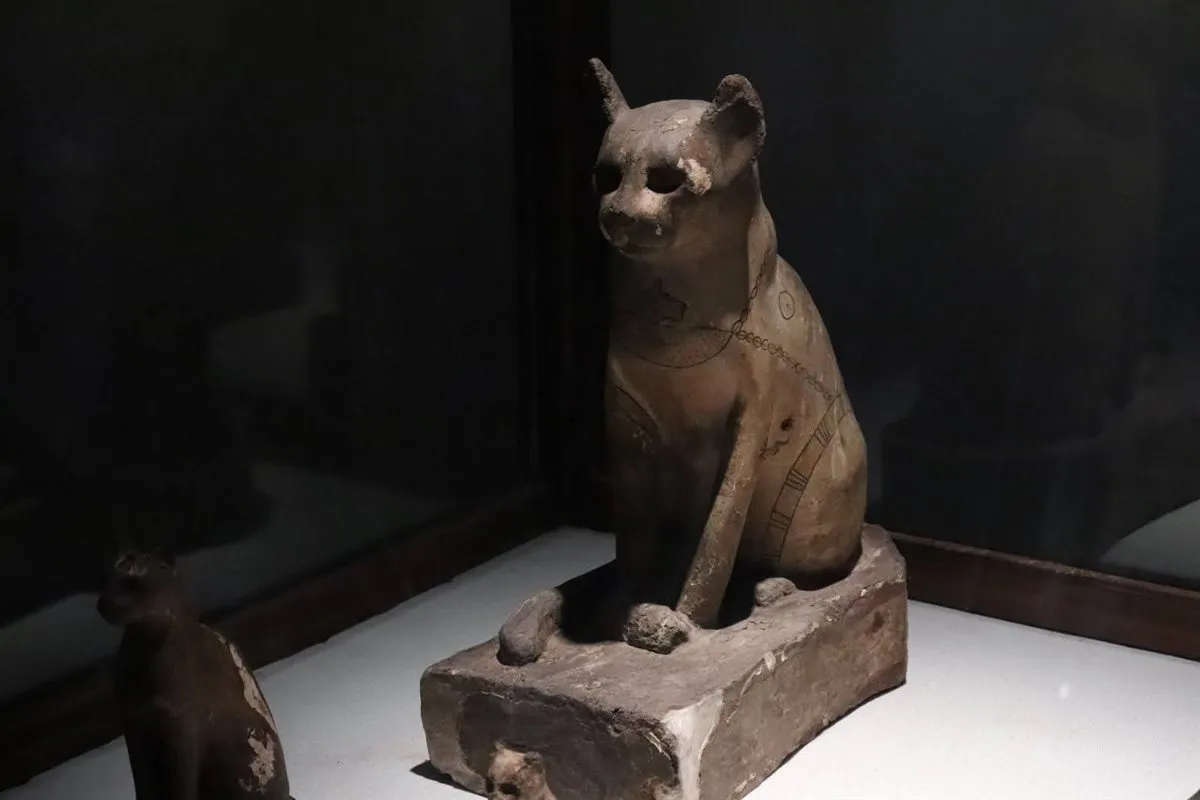 FB_IMG_1750170458156