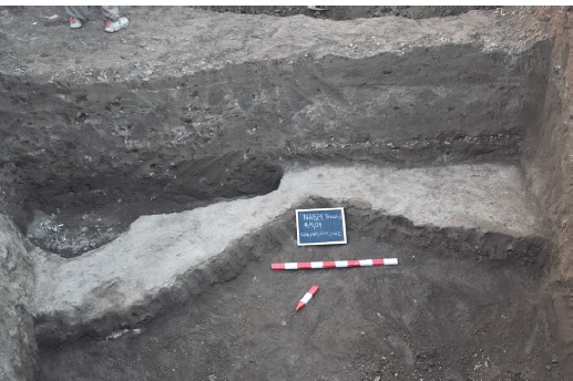 WhatsApp Image 2025-06-21 at 2.03.46 PM (1)