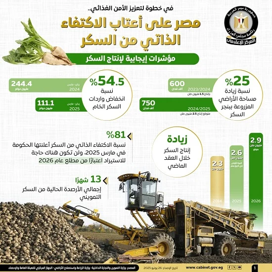 مجلس الوزراء: مصر تقترب من تحقيق الاكتفاء الذاتي من السكر.. طفرة في الإنتاج وتراجع كبير في الواردات
