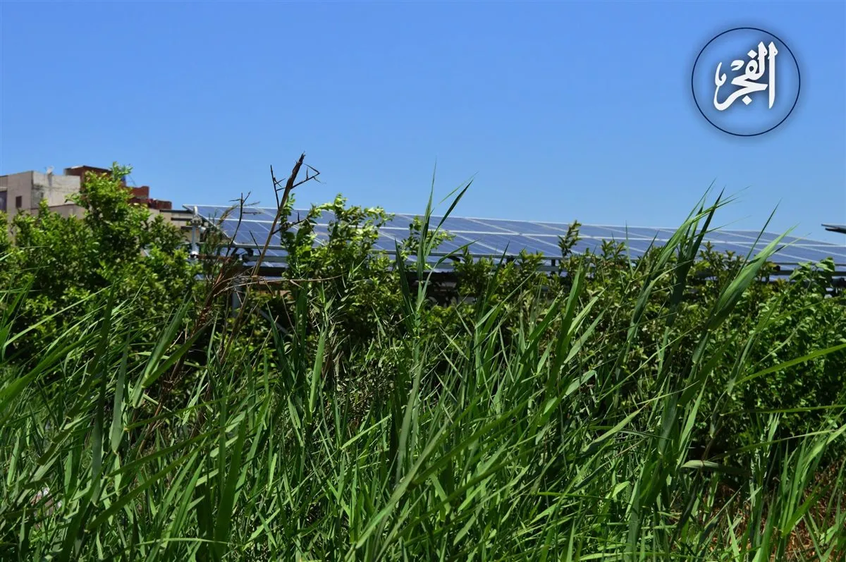 مشروع ألواح الطاقة الشمسية والري الحديث