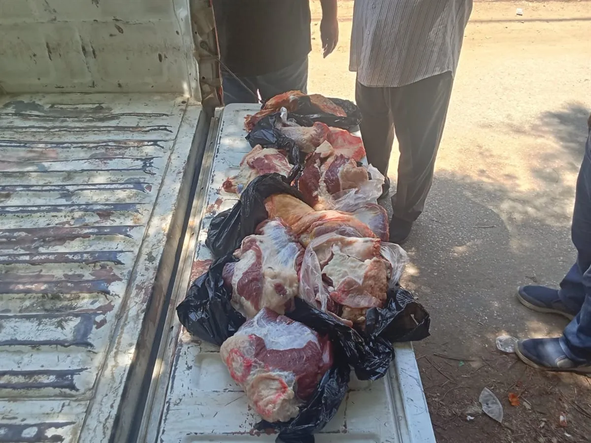 0e7996ec-2ad2-4c44-9c2a-a98a46e4c03a