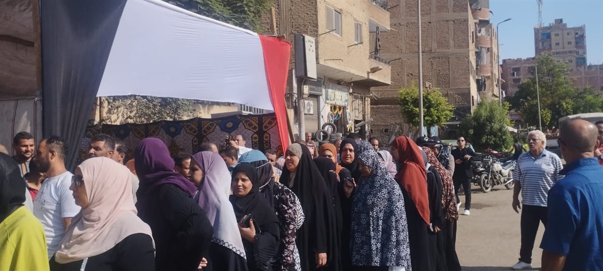 116693-أمام-لجان-انتخابات-مجلس-الشيوخ-بالخصوص