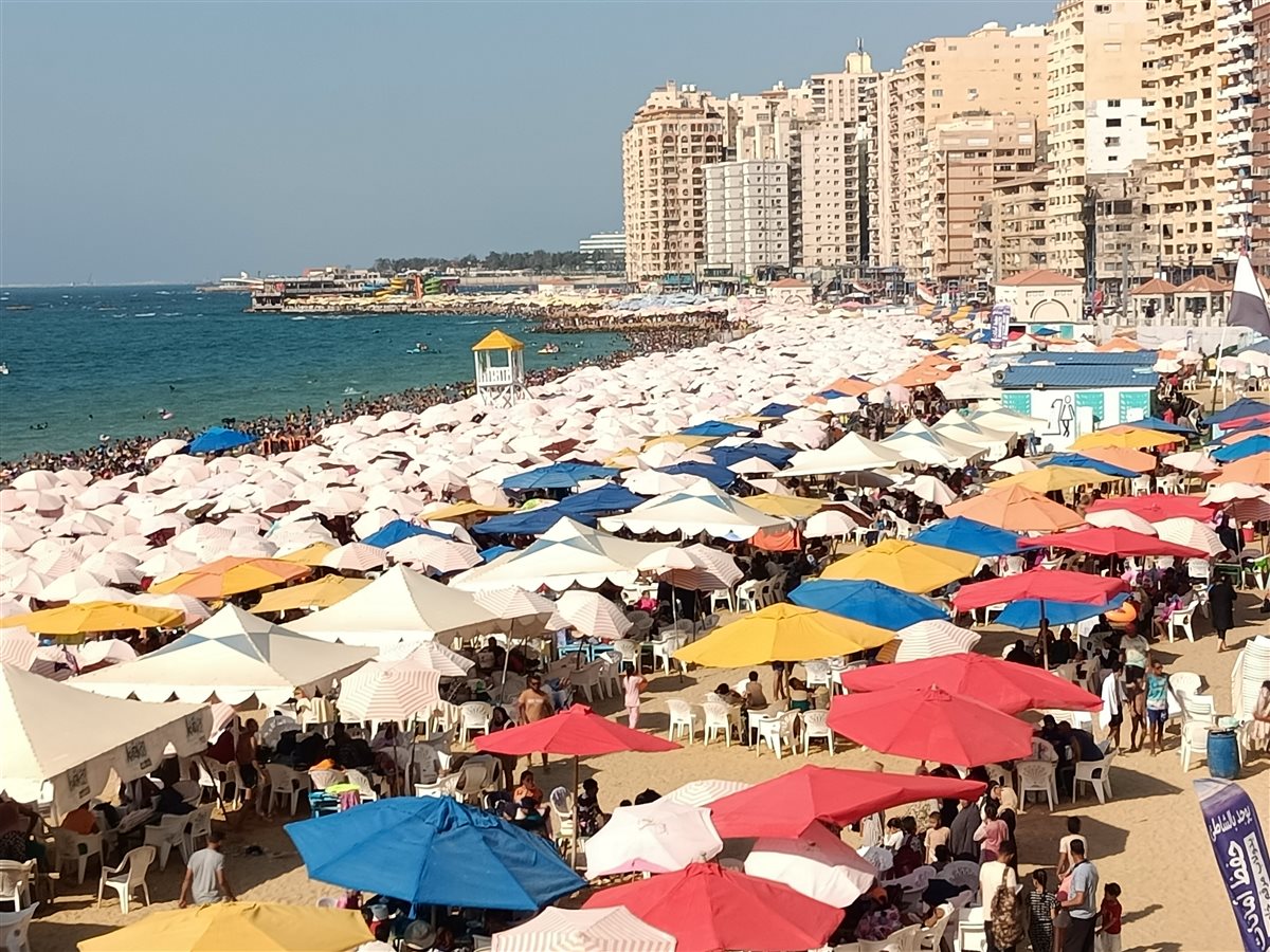 شواطىء شرق الإسكندرية 