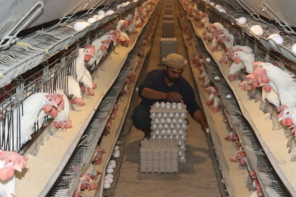 075f8bdb-cf57-41ae-82d7-8d0fdd4f3390